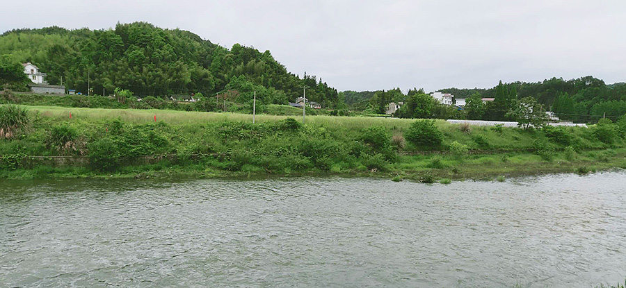 1561534040732228.jpg cjh-1.jpg