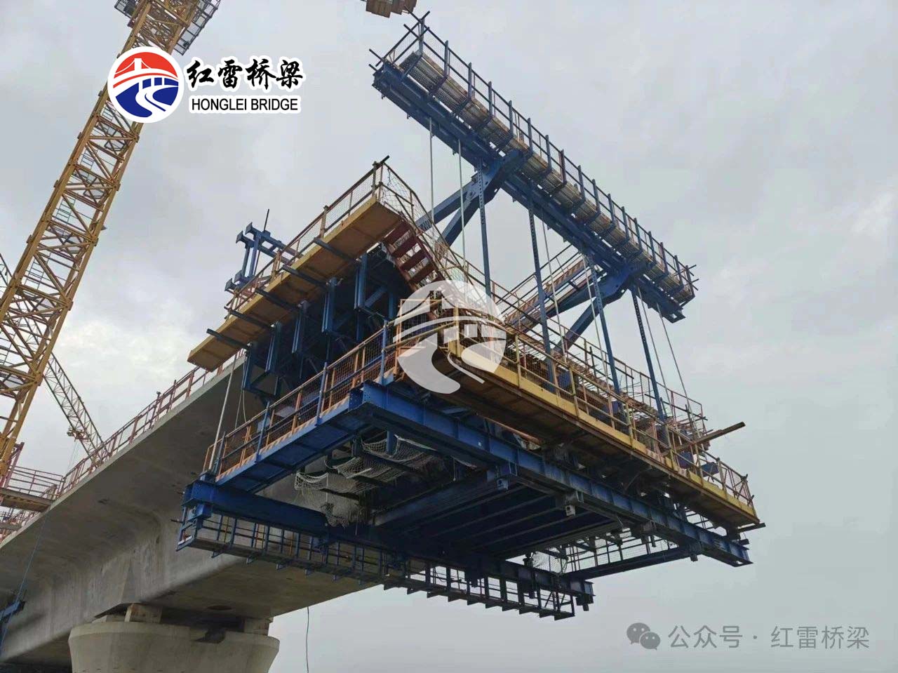 1731400376317316.jpg 22.jpg