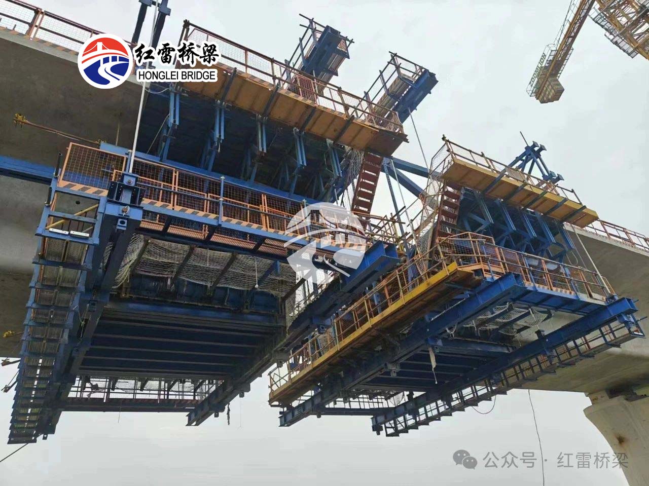 1731653423126057.jpg 11.jpg