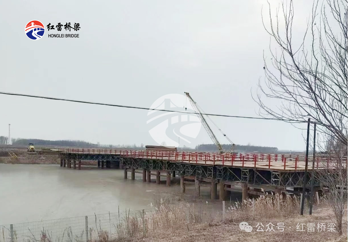 1739519831690832.jpg 11.jpg